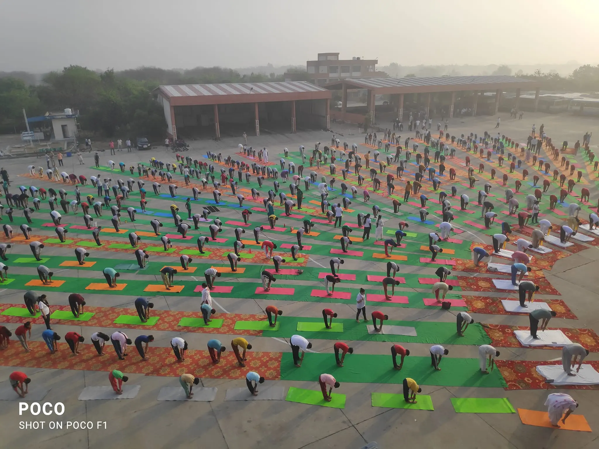 A large group of people doing yoga poses.